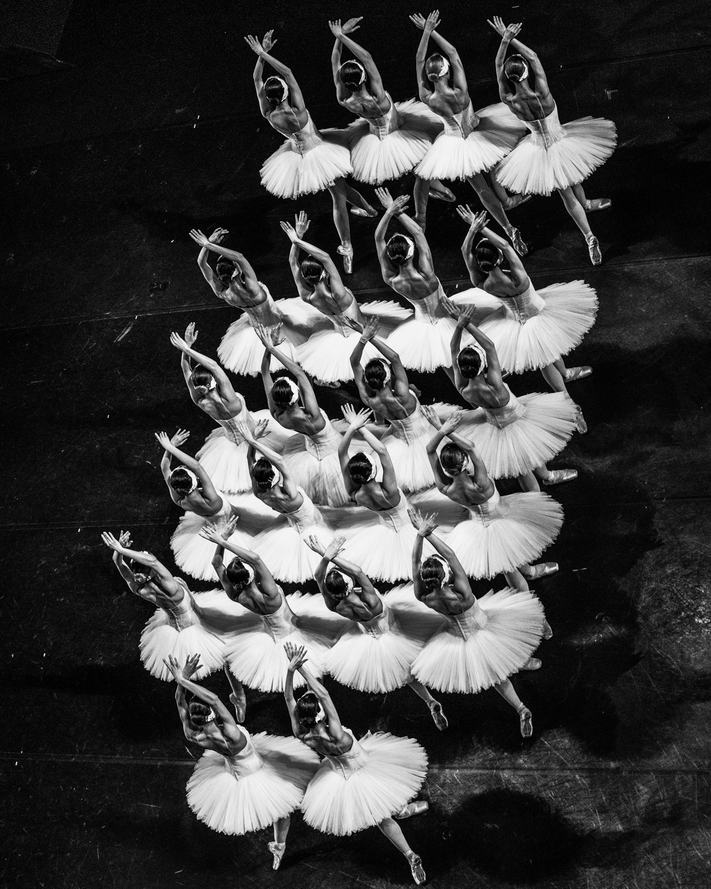 Performance — Altin Kaftira 56